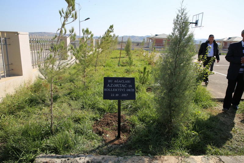 Cocuq Mərcanlının günəşli payızı