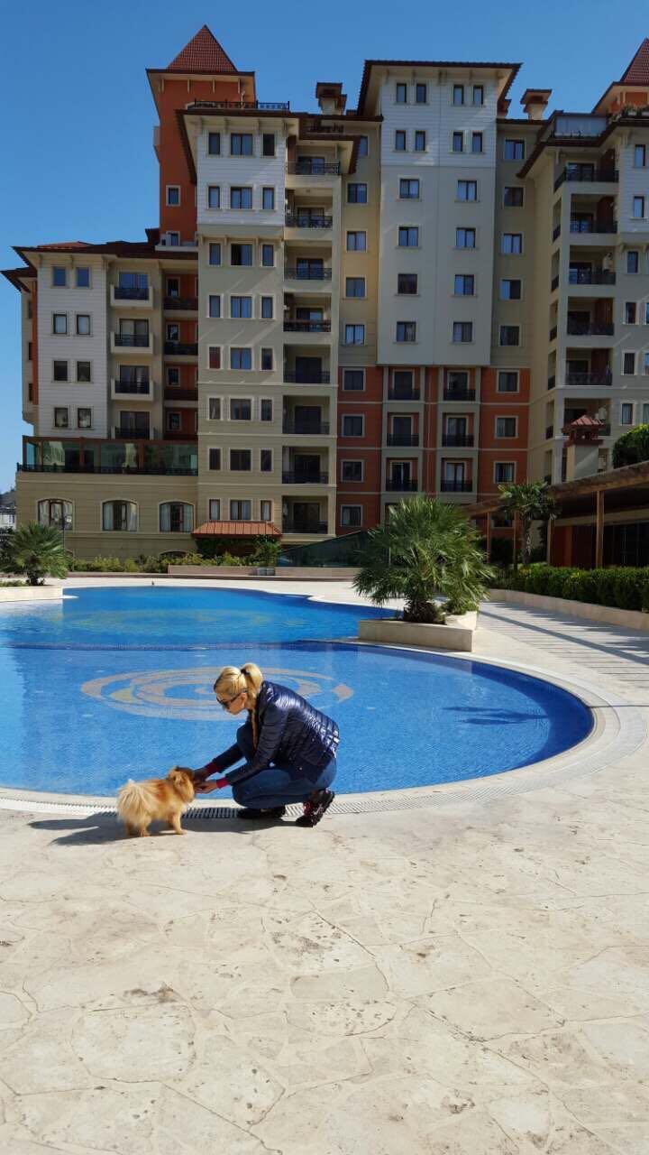 "Yarım milyonluq ev, 120 minlik avtomobil"