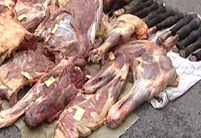 Житель Балакена хотел продать в Баку полтонны мяса больных лошадей
