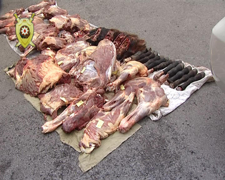 Житель Балакена хотел продать в Баку полтонны мяса больных лошадей