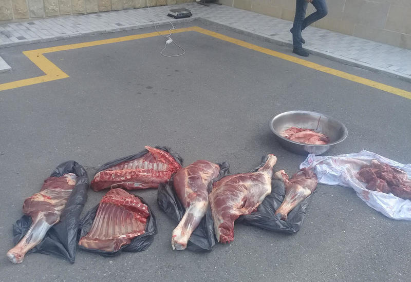 Mənşəyi məlum olmayan 63 kq at əti aşkar edilib