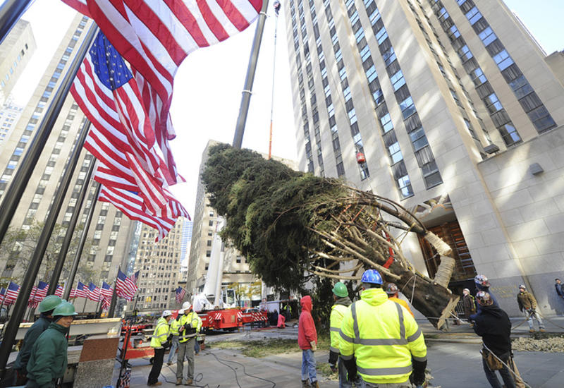 В Нью-Йорке установили главную рождественскую ель города
