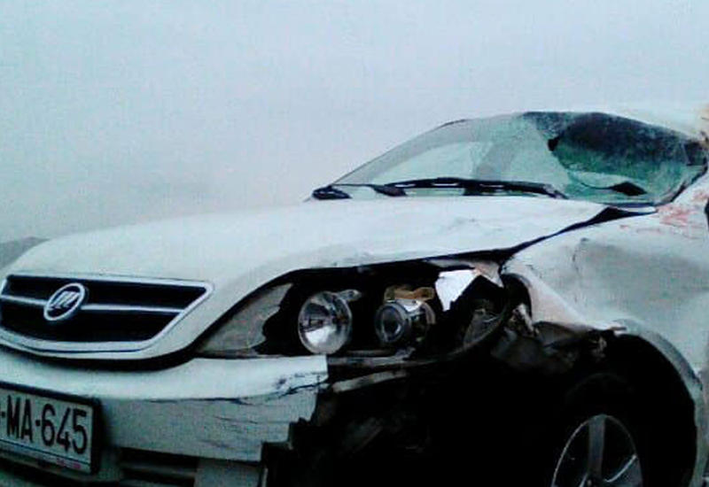 Пешехода разорвало на части в кошмарном ДТП в Гарадаге