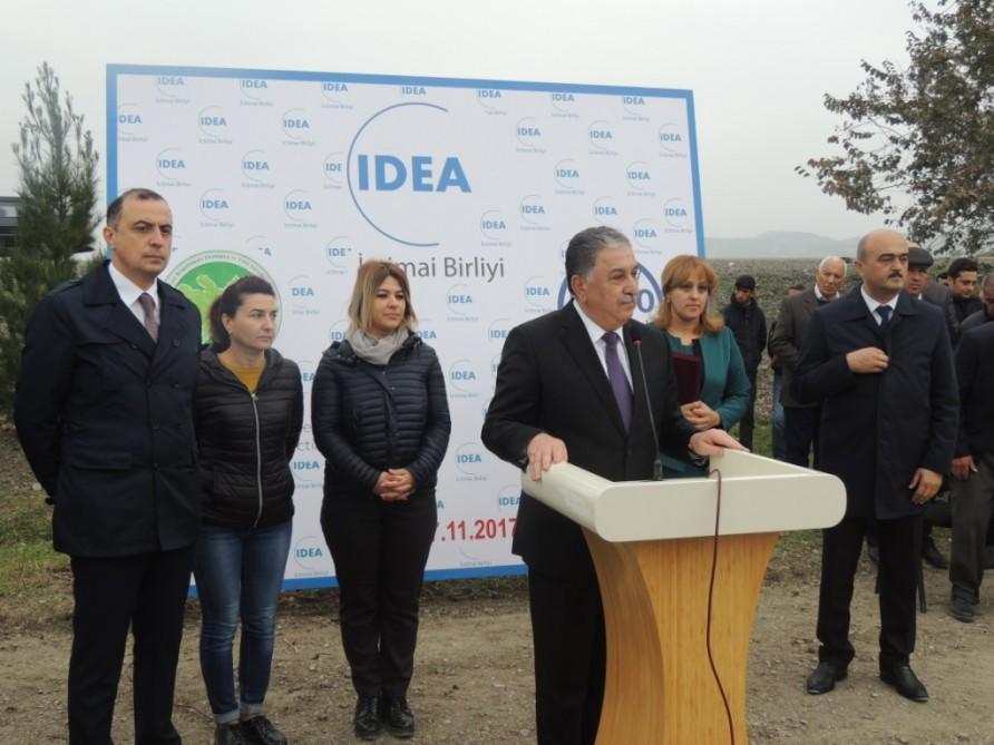 В Агдаше по инициативе Общественного объединения IDEA заложены фруктовые сады для малообеспеченных семей