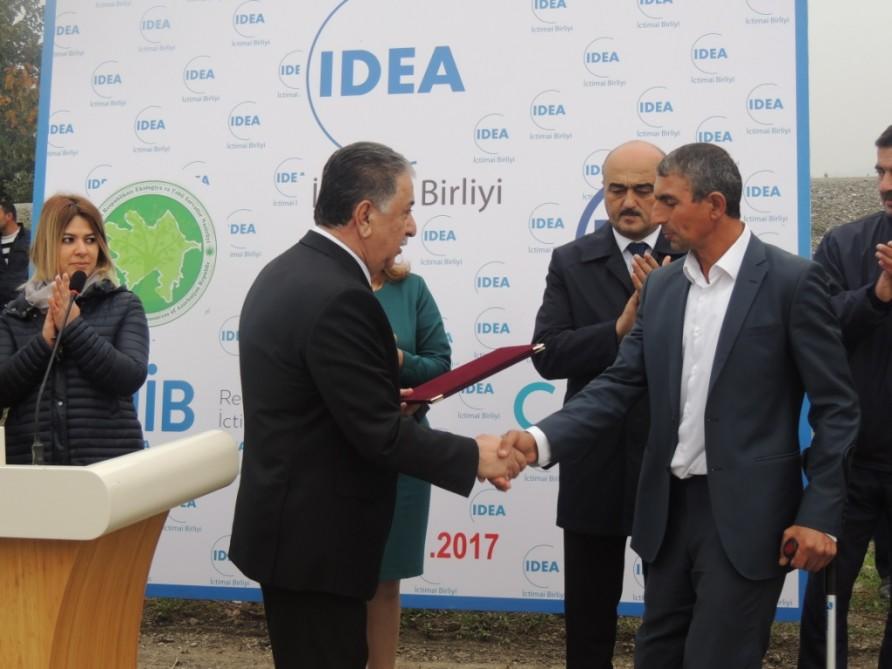 В Агдаше по инициативе Общественного объединения IDEA заложены фруктовые сады для малообеспеченных семей