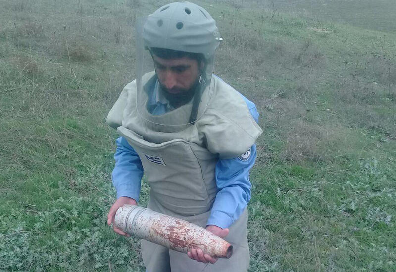 Смертельно опасная находка на пастбище в Горадизе