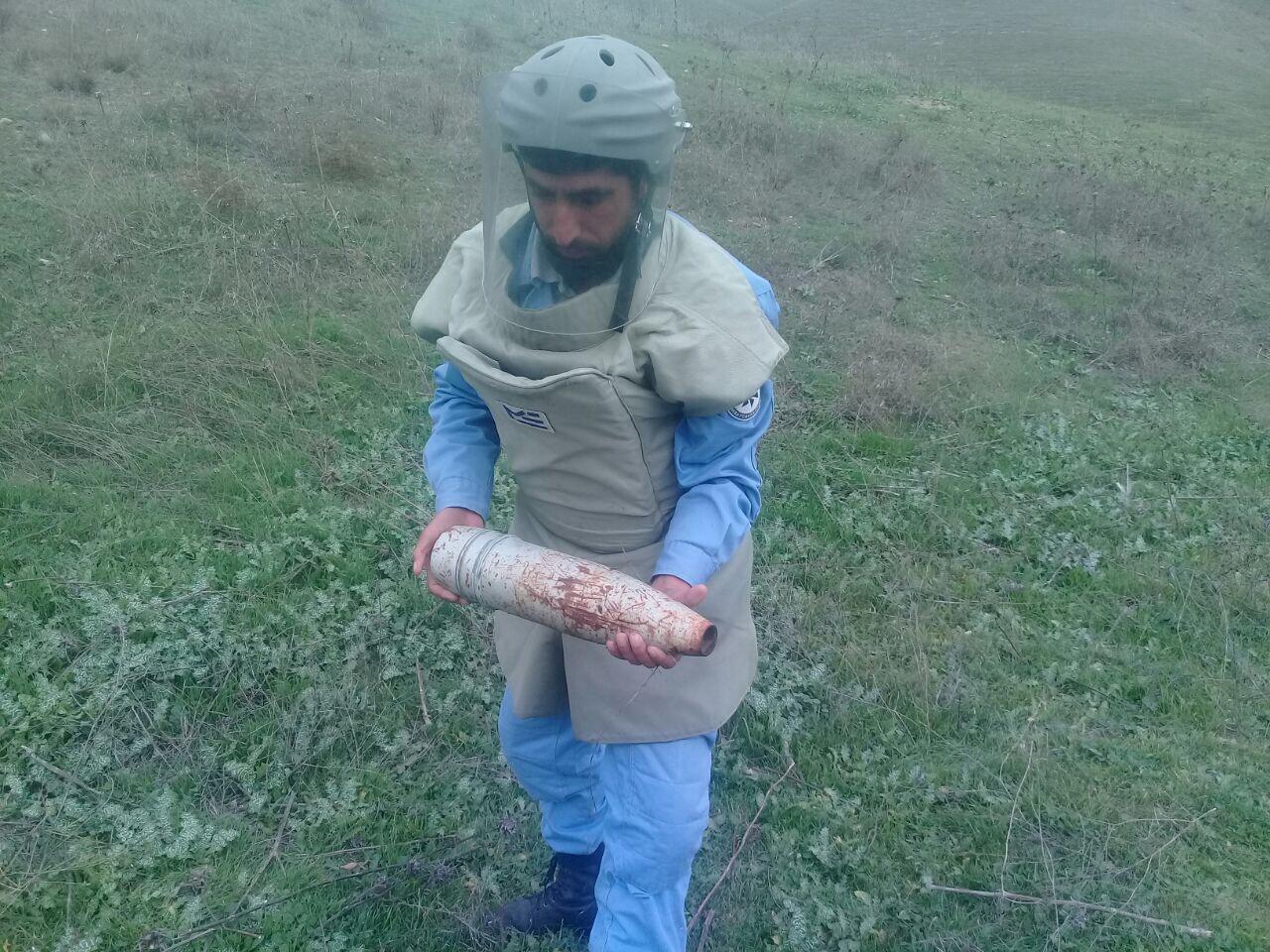 Смертельно опасная находка на пастбище в Горадизе