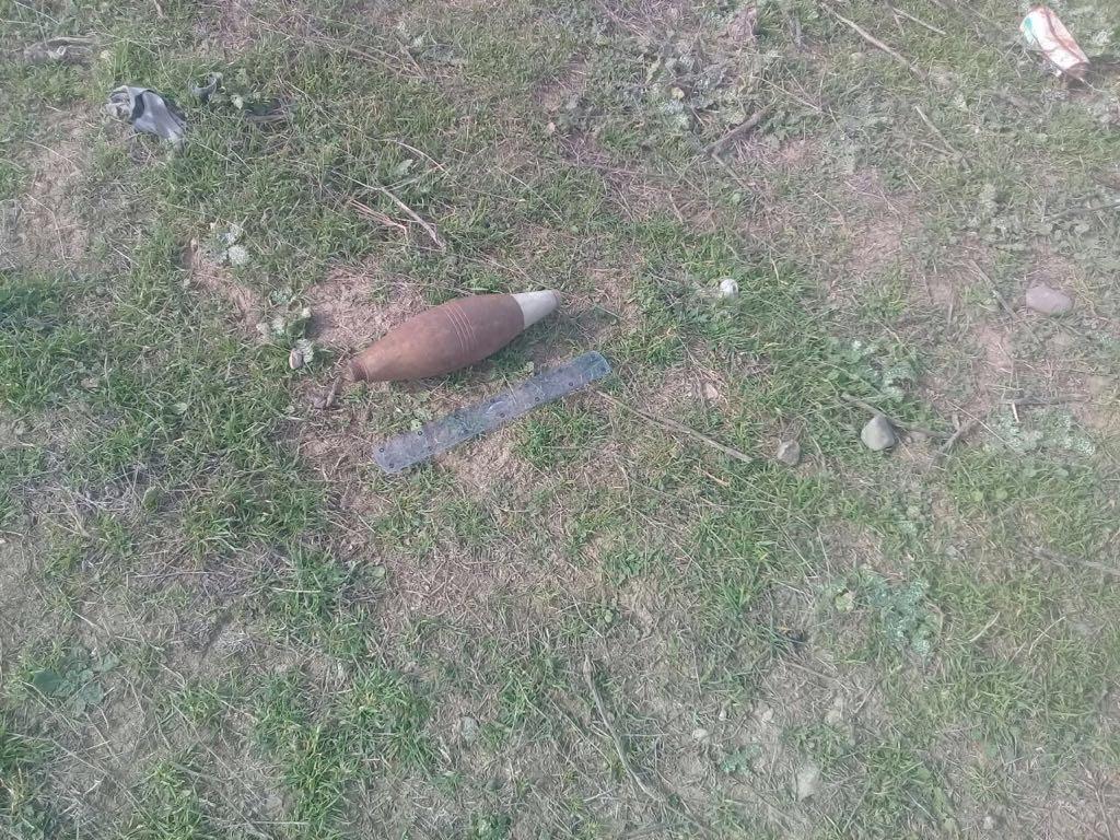 Смертельно опасная находка на пастбище в Горадизе