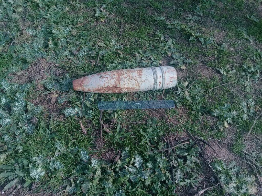 Смертельно опасная находка на пастбище в Горадизе