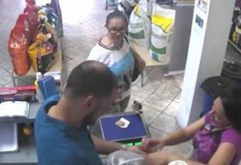 Птица украла деньги у покупательницы в магазине