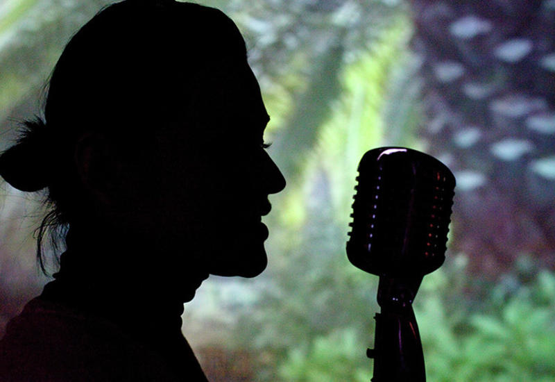 В Северной Корее разрешили петь караоке онлайн