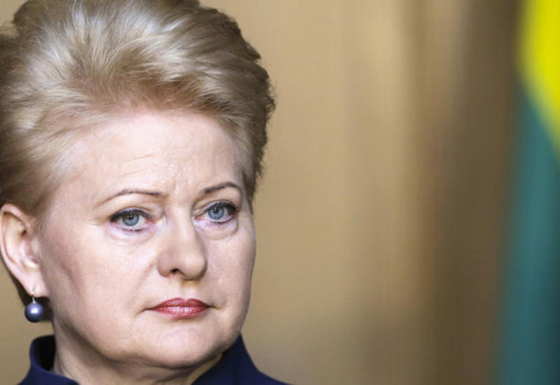 Президент Литвы: с Россией важно сотрудничать и не воевать