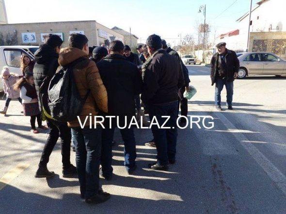 Salyanın mərkəzində vaşaq tutuldu