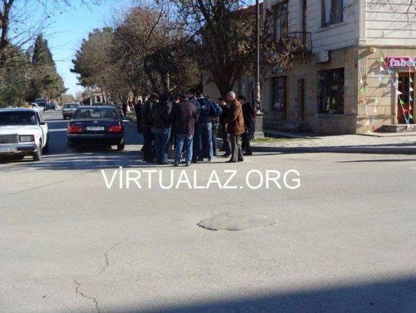 Salyanın mərkəzində vaşaq tutuldu