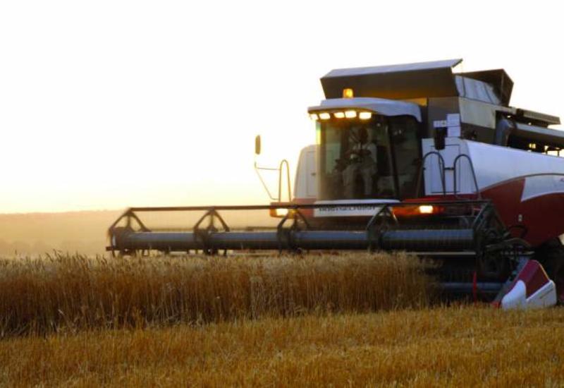 Азербайджан увеличит производство сельхозпродукции