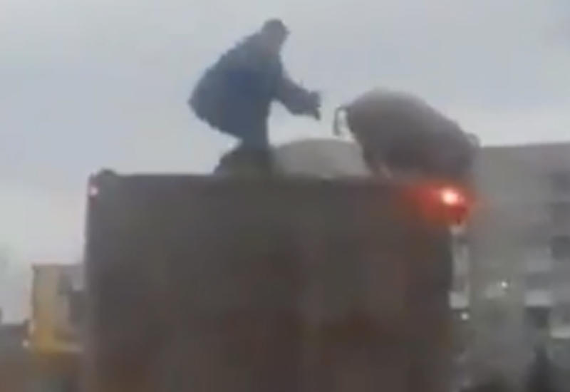 Видео борьбы человека и свиньи на крыше фуры удивило пользователей Сети