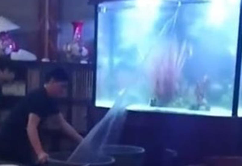 Официанты попытались спасти ресторан от потопа необычным способом