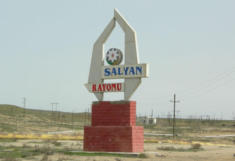 Polis Salyanda 9 kq narkotik vasitə satmaq istəyən iki nəfəri saxlayıb