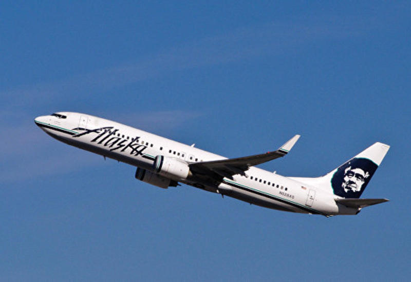 В США крыса стала причиной отмены авиарейса