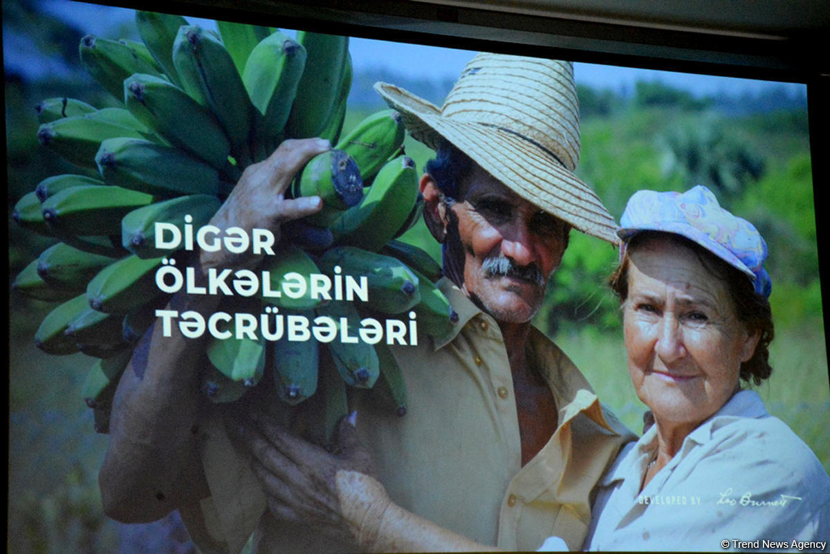 Презентован логотип бренда Made in Azerbaijan