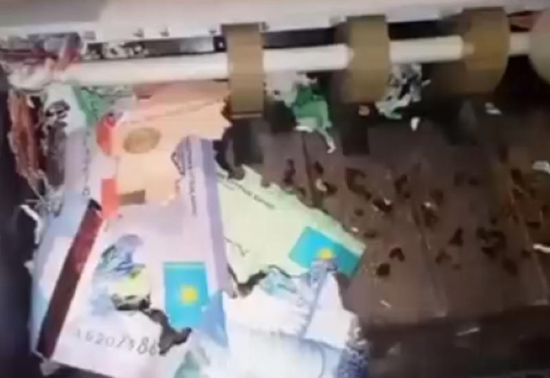 Мыши пробрались в банкомат и съели все купюры