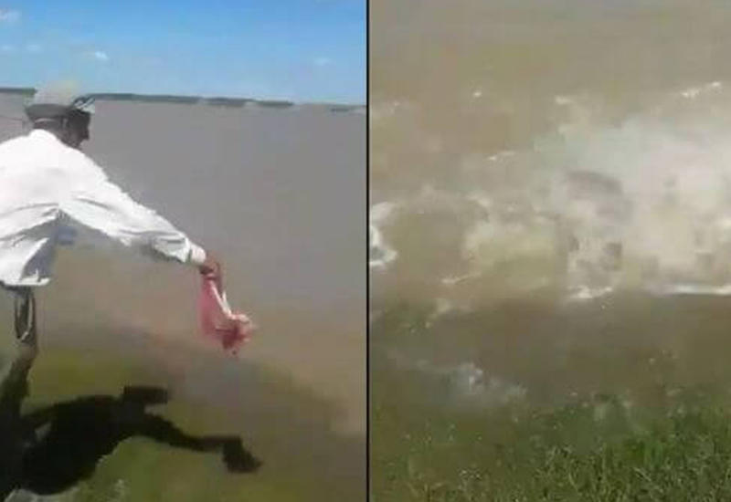 Пожилой мужчина покормил плотоядных обитателей водоёма