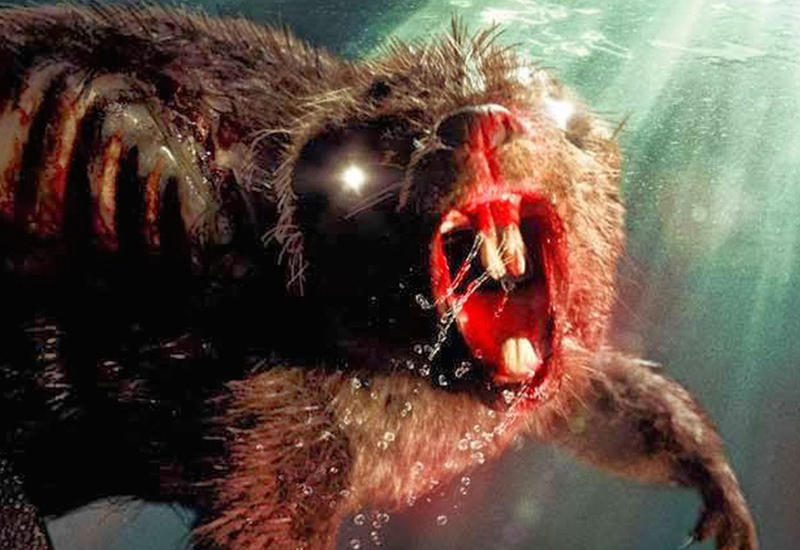 7 настоящих животных-зомби