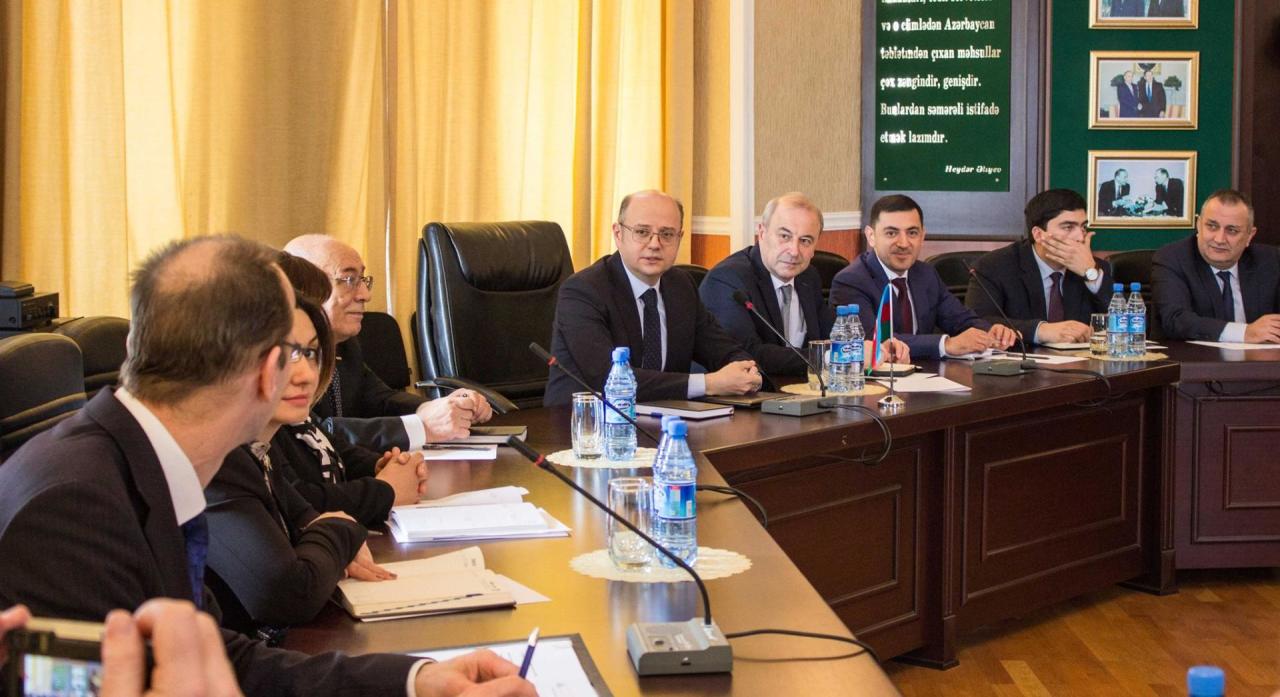 Немецкие энергетические компании хотят сотрудничать с Азербайджаном