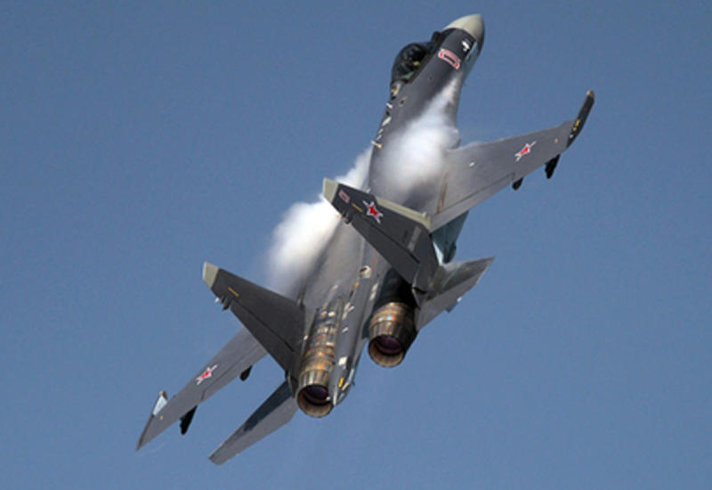 Россия обменяет Су-35 на пальмовое масло