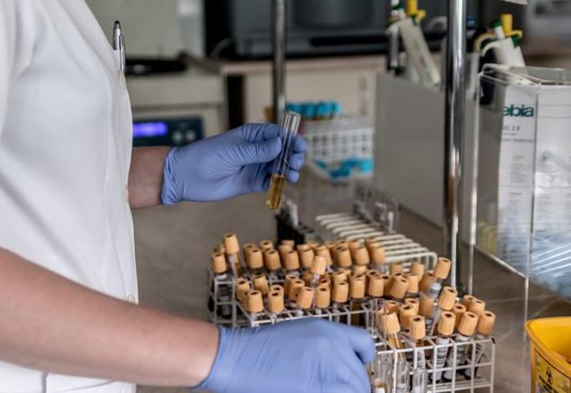 В США анализ крови будет использоваться для диагностики сотрясения мозга