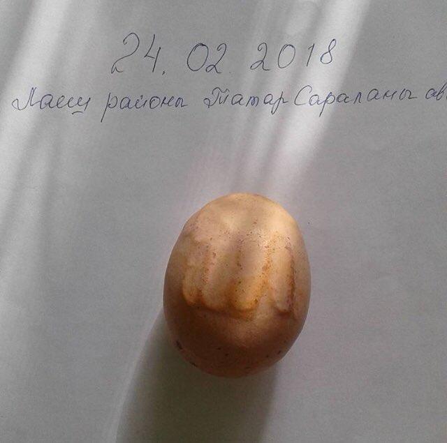 В Татарстане курица снесла яйцо с надписью "Аллах", сообщают власти