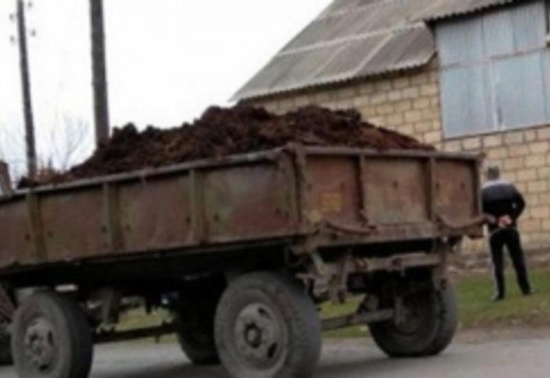 Трагичный случай в Сабирабаде: трактор задавил мальчика