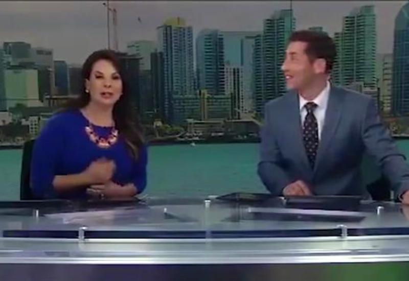 Экзотическая птица устроила насест на голове ведущей в прямом эфире