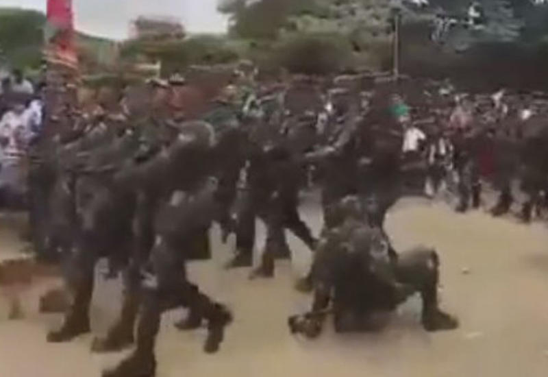 Собака, оказавшаяся на пути солдат во время марша, стала «изюминкой» шествия