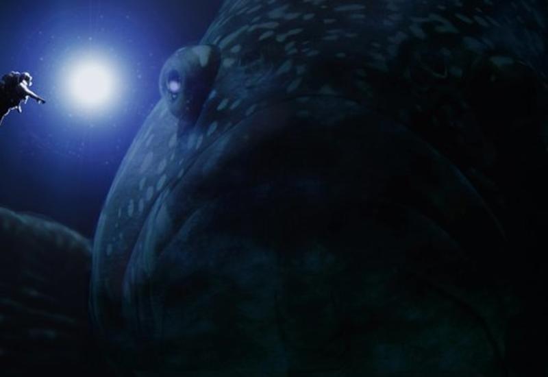 Австралийские рыбаки наткнулись на огромного монстра