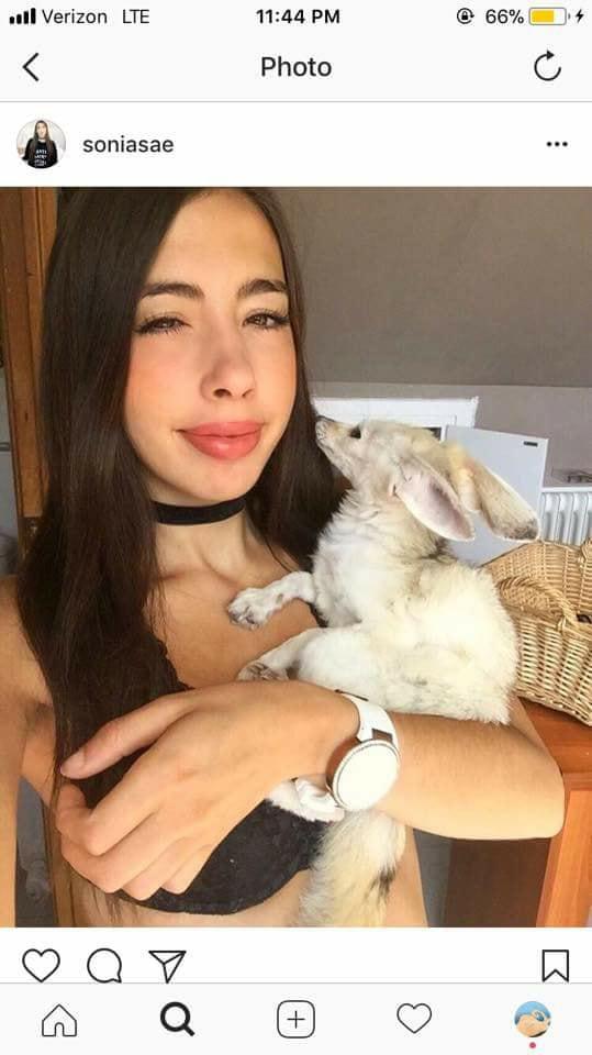 Блогер сделала из лисенка вегана и довела его до полусмерти