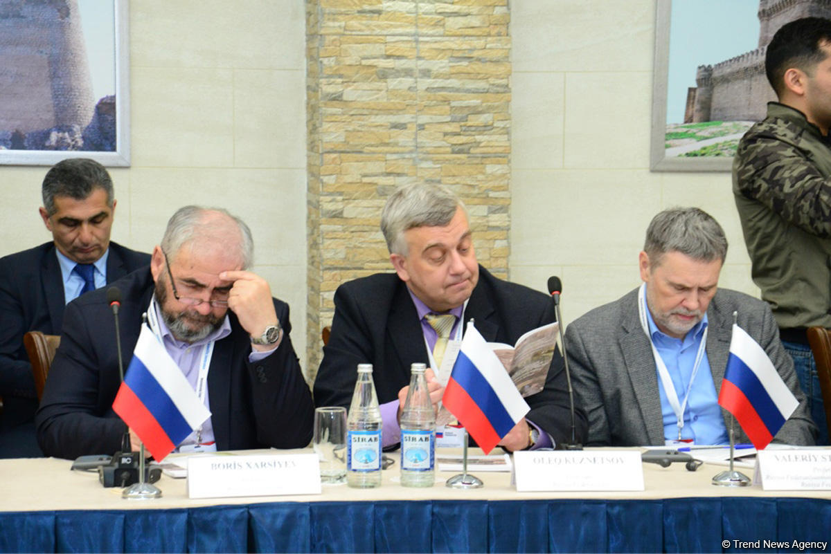 Турецкий профессор: Армяне - главные виновники и участники геноцида в Кавказском регионе