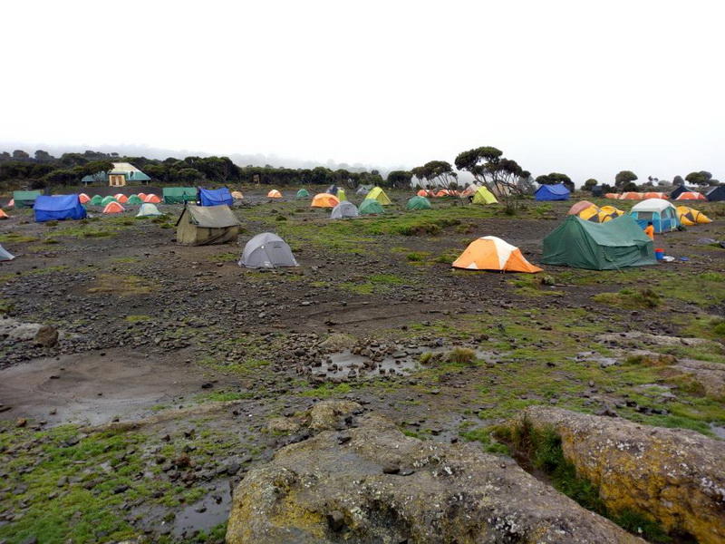 Как снега Килиманджаро покорились азербайджанцам