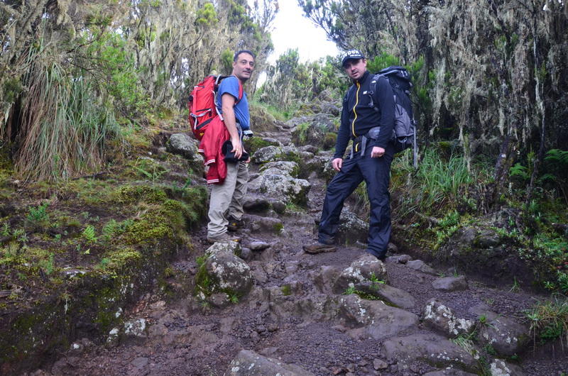 Как снега Килиманджаро покорились азербайджанцам