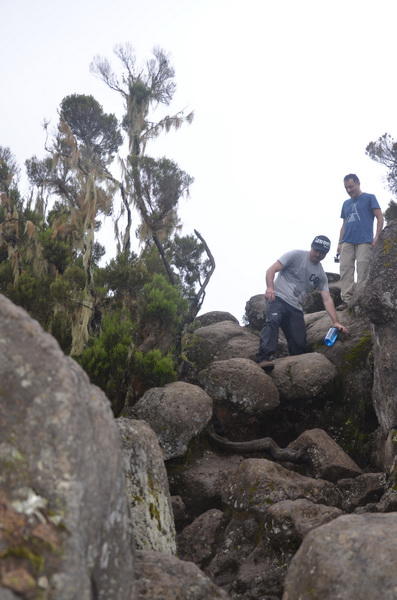 Как снега Килиманджаро покорились азербайджанцам