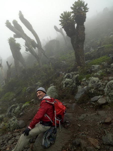 Как снега Килиманджаро покорились азербайджанцам