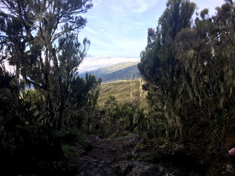 Как снега Килиманджаро покорились азербайджанцам