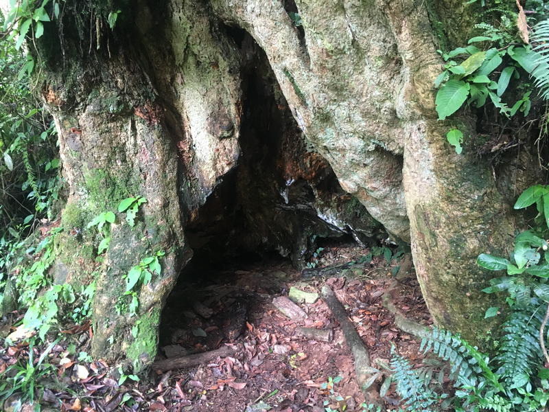 Как снега Килиманджаро покорились азербайджанцам