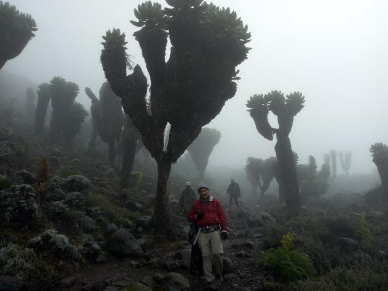 Как снега Килиманджаро покорились азербайджанцам