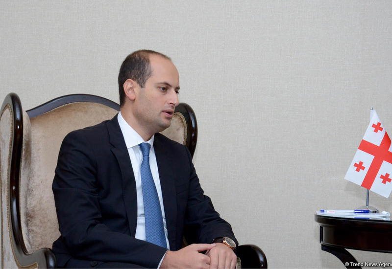 Глава МИД Грузии поддержал действия западной коалиции в Сирии