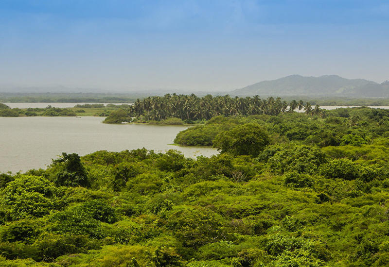 Ученые нашли племя, которое может общаться посредством боя барабанов