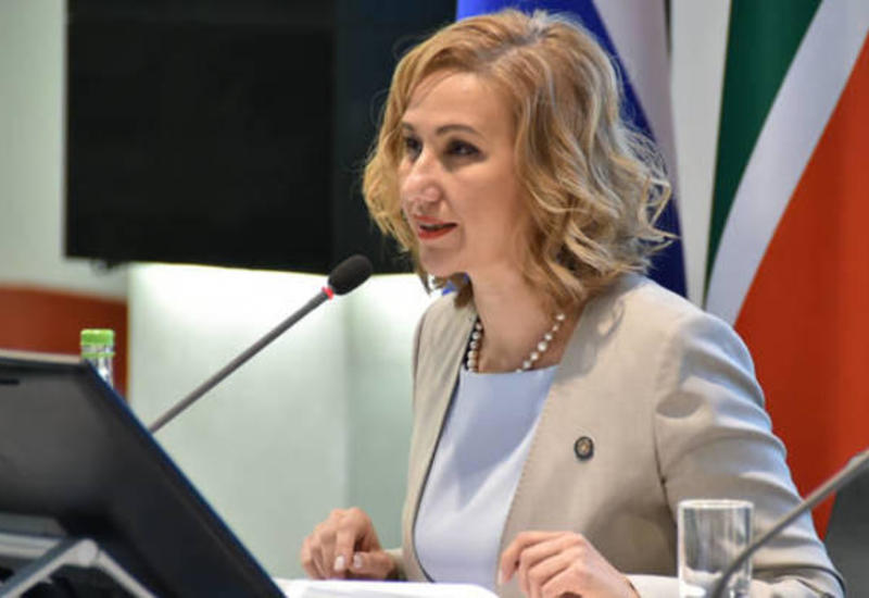 Уроженка Азербайджана назначена министром культуры Татарстана