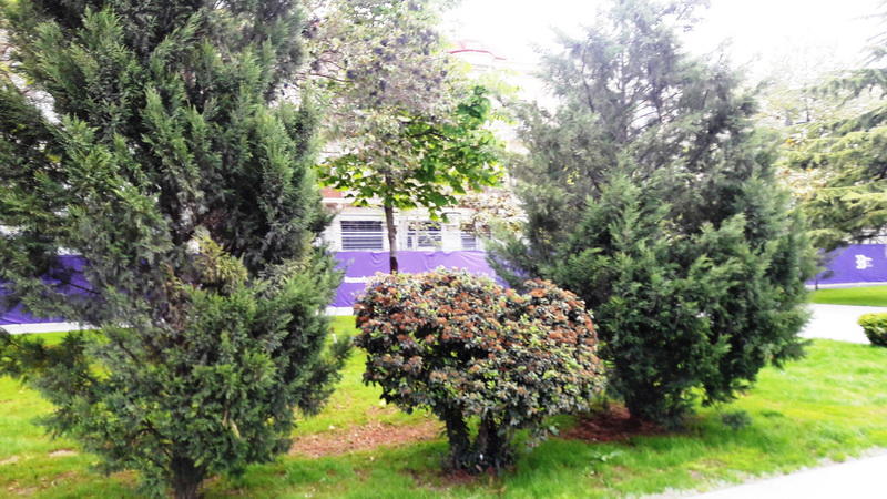 "Мой Баку": Парк "Сахиль" – маленький уголок столицы с большой историей