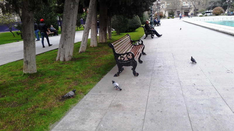 "Мой Баку": Парк "Сахиль" – маленький уголок столицы с большой историей