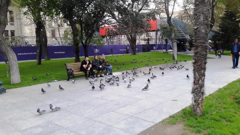 "Мой Баку": Парк "Сахиль" – маленький уголок столицы с большой историей